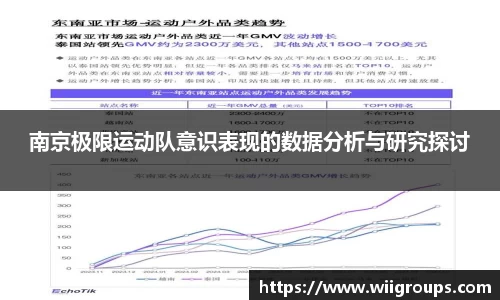 南京极限运动队意识表现的数据分析与研究探讨