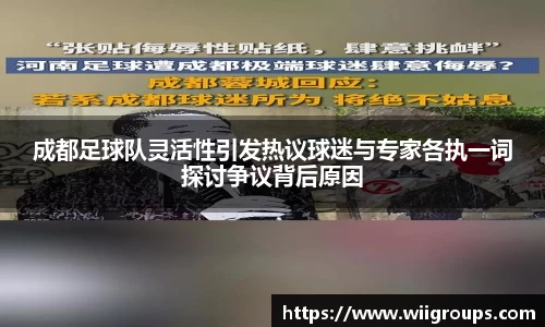 成都足球队灵活性引发热议球迷与专家各执一词探讨争议背后原因