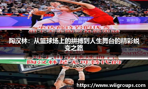 陶汉林：从篮球场上的拼搏到人生舞台的精彩蜕变之路
